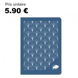 Lot de 30 carnets bleu